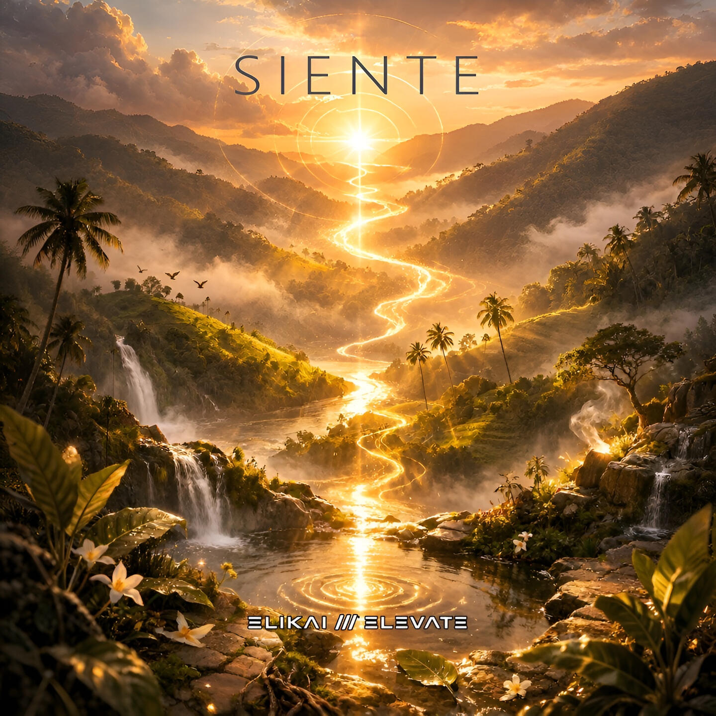 ELIKAI /// ELEVATE - SIENTE
